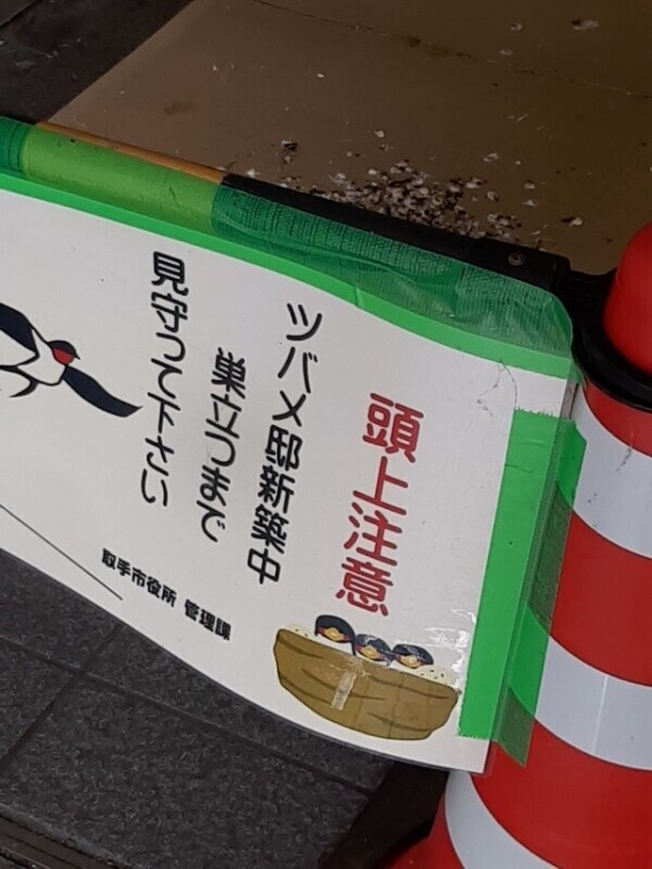 ツバメの巣
