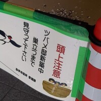 もも