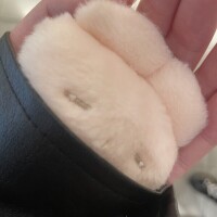 ゆきの