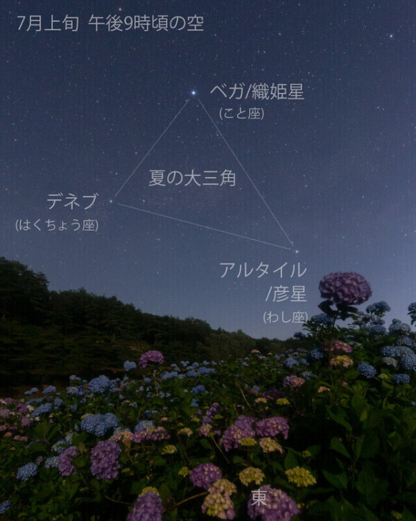 ‎🤍‎一緒にお空みよう🤍