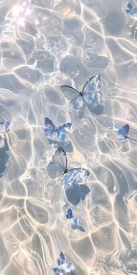 事務所戻りました🎀
