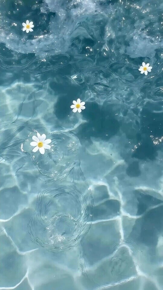 次回ご案内16:00頃💐