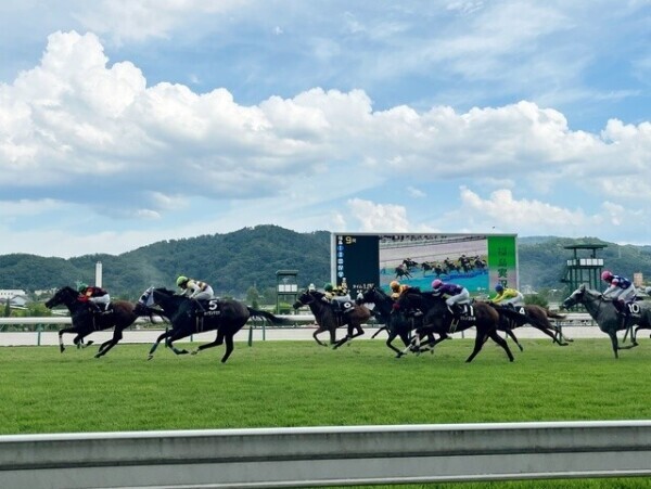夏の最終日🐎🩷