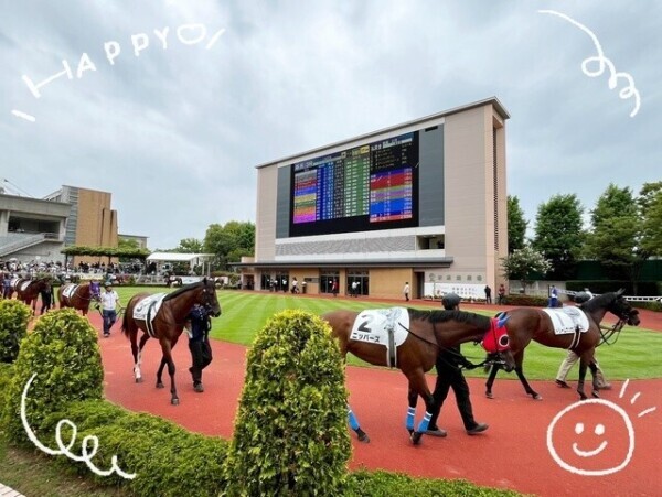 新潟競馬場🐎🧡