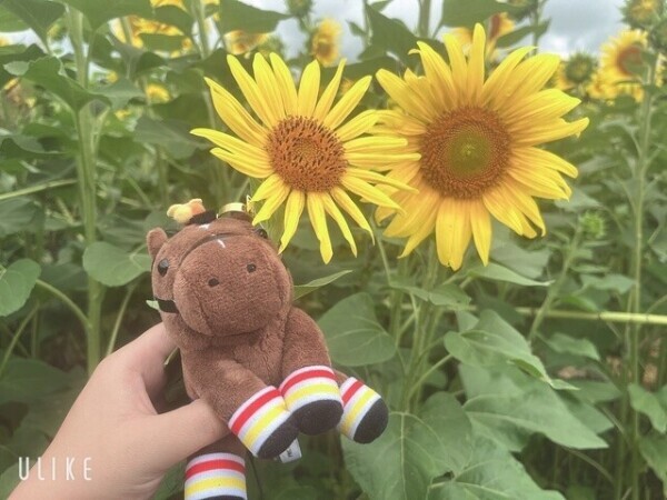 次回出勤日14日です🌼