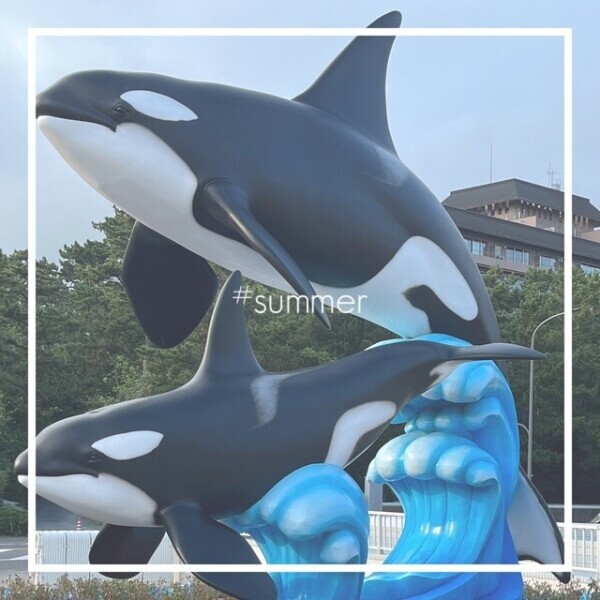 大好きなっ🪼🐬