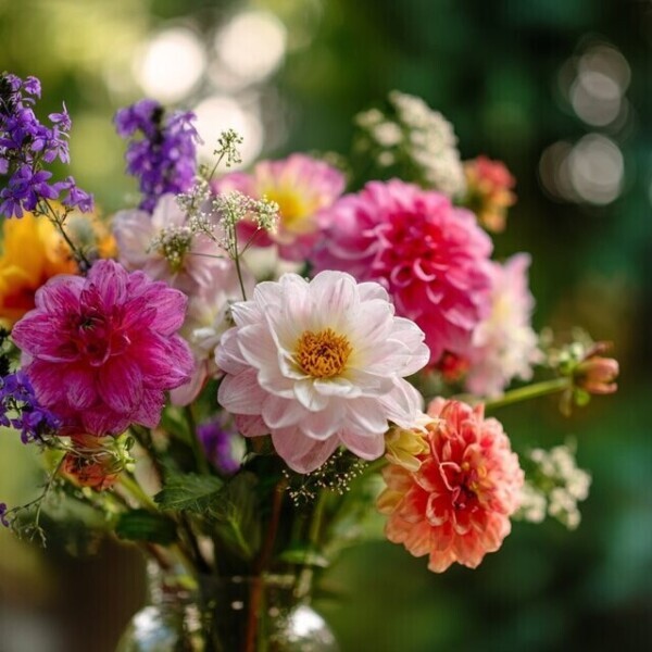 次回ご案内13:50頃🌼
