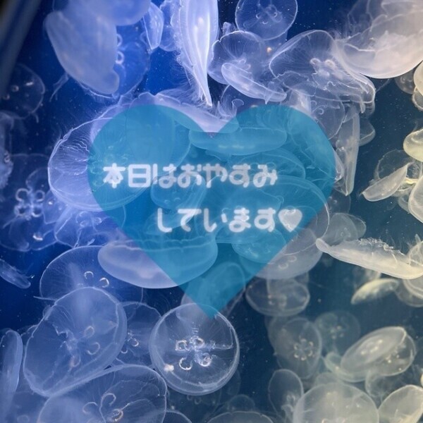 ﾒﾝﾃﾅﾝｽ𝐝𝐚𝐲🎀🫧
