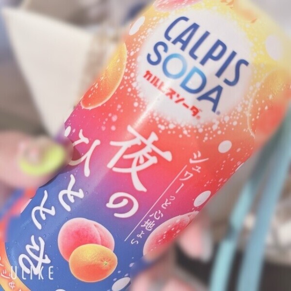 夜のひととき…🍸🫕🍾