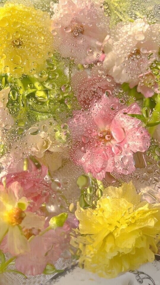 次回ご案内11:50頃🌼