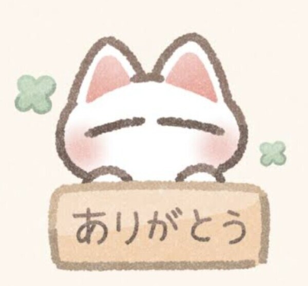 🕊️本日もありがとうございます🤍