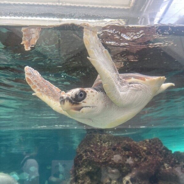 水たまり🐳🫧