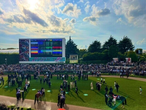 諦めない心🐎💓