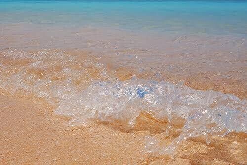 次回ご案内15:00頃🌺