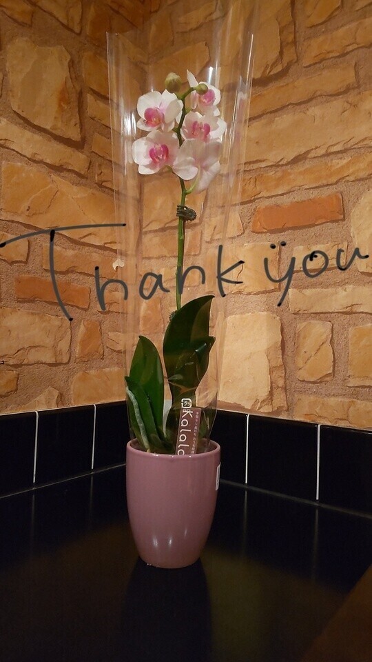 素敵すぎ+ﾟ*(〃∇〃)*ﾟ+ｷｭﾝ💖