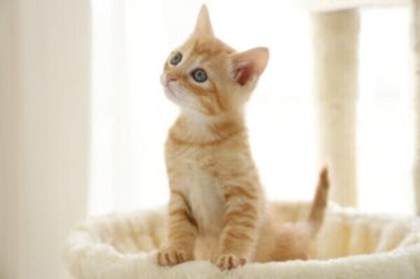 おはようございます☀️