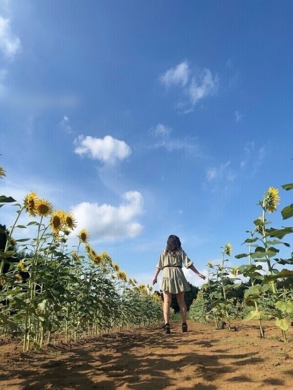 🩷初めての日記🩷