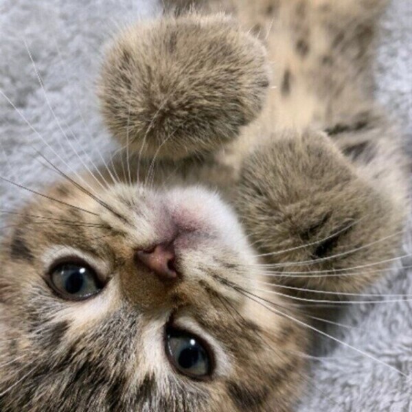 口コミありがとうございます😍