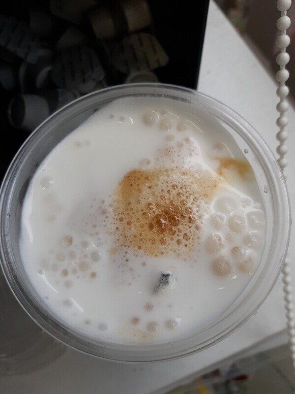 おはようございます！