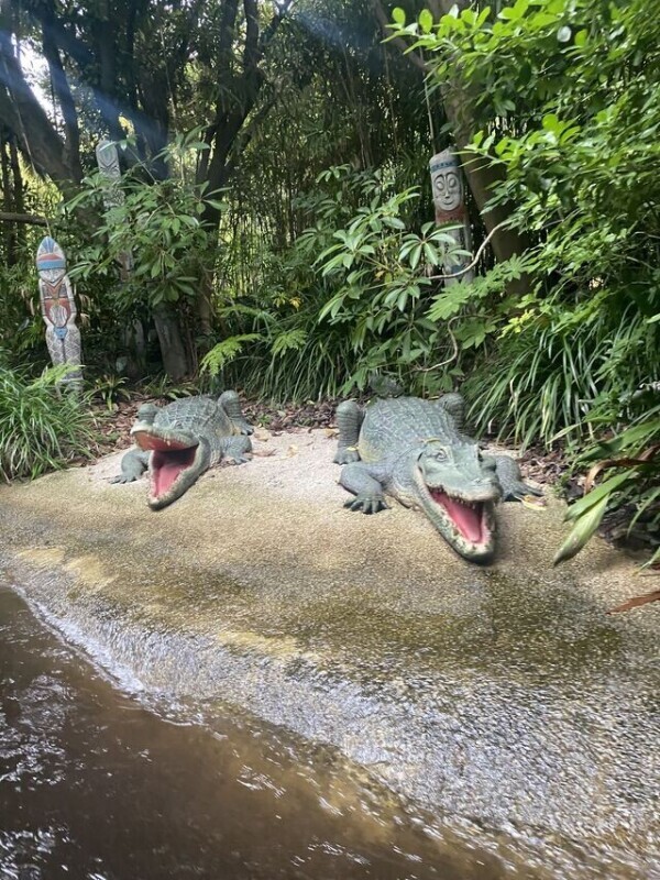 お疲れ様です🙌