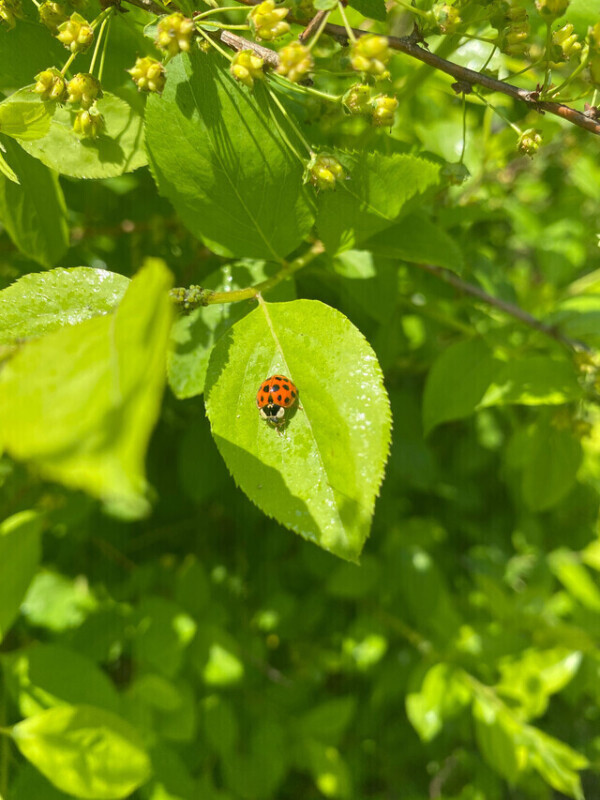 初めての…💓‪