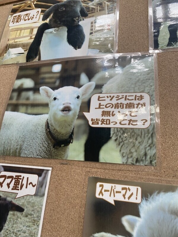 おはようございます☀️