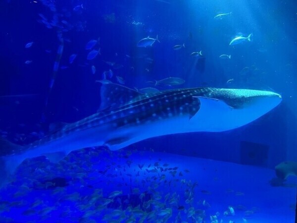 ゆりんと...？❤️‍🔥