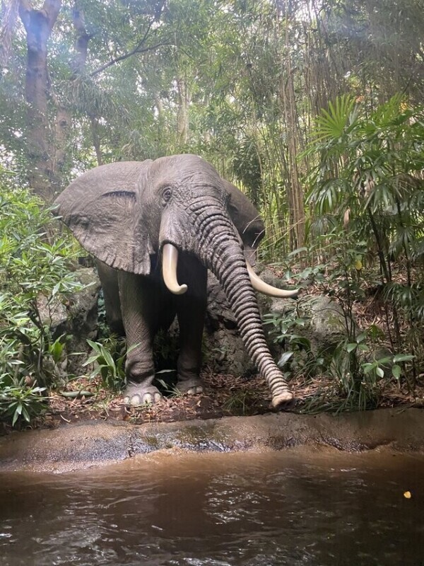 おはようございます☀️