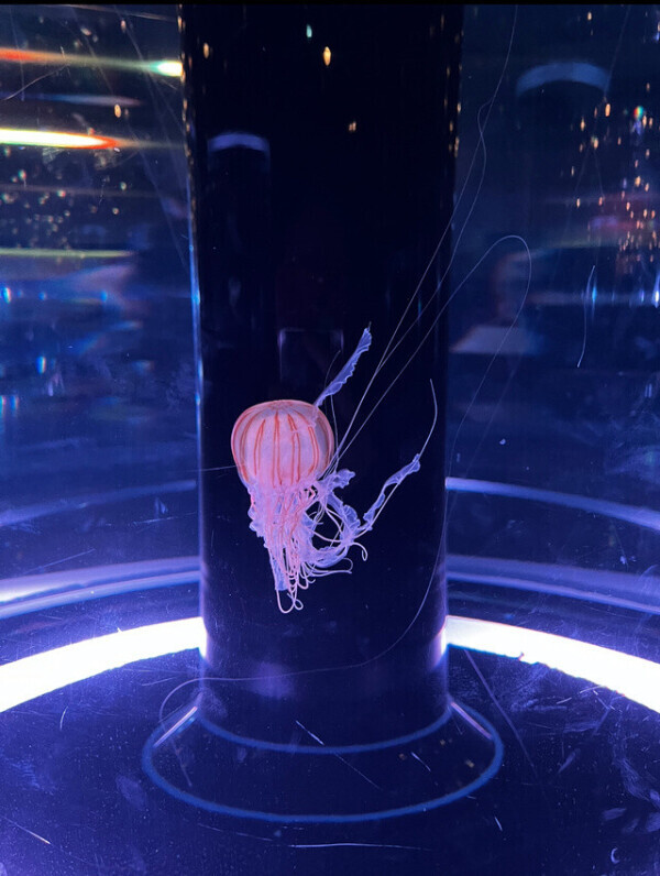 💕初めましての日記💕