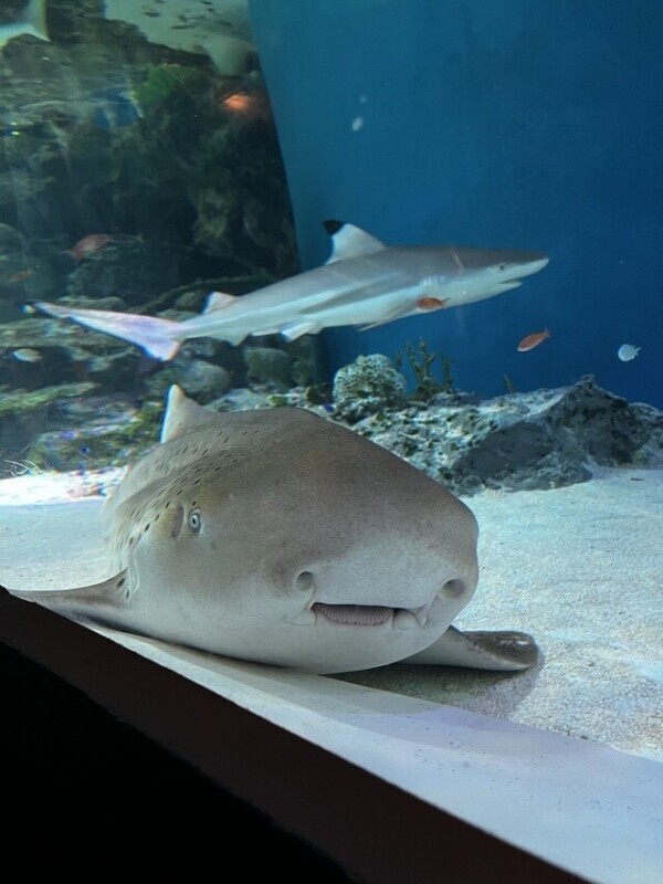 初めてのコスプレ💉