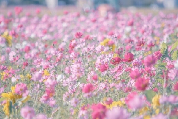 いじめられちゃった😍