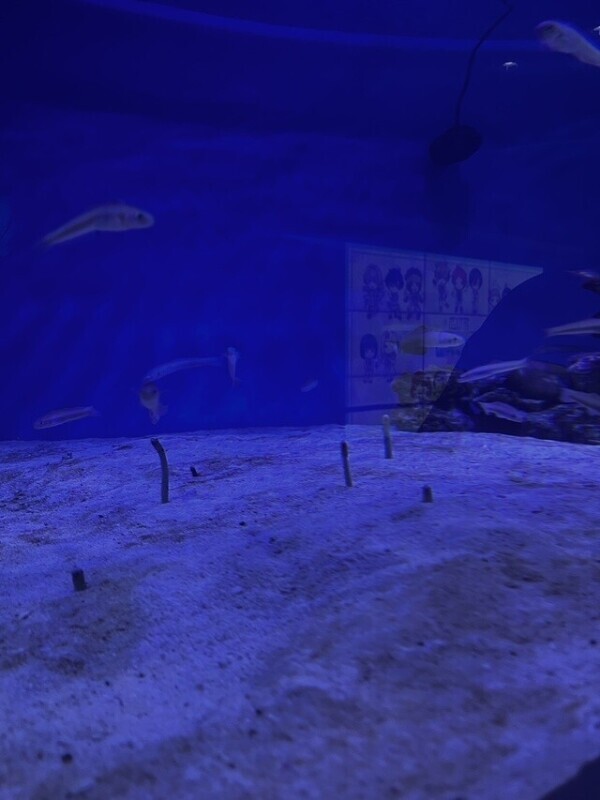 小悪魔になっちゃった💘