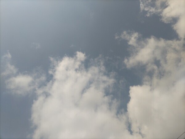 待ってたよ～🌞