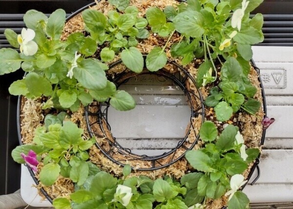 素敵なプレゼント🎁