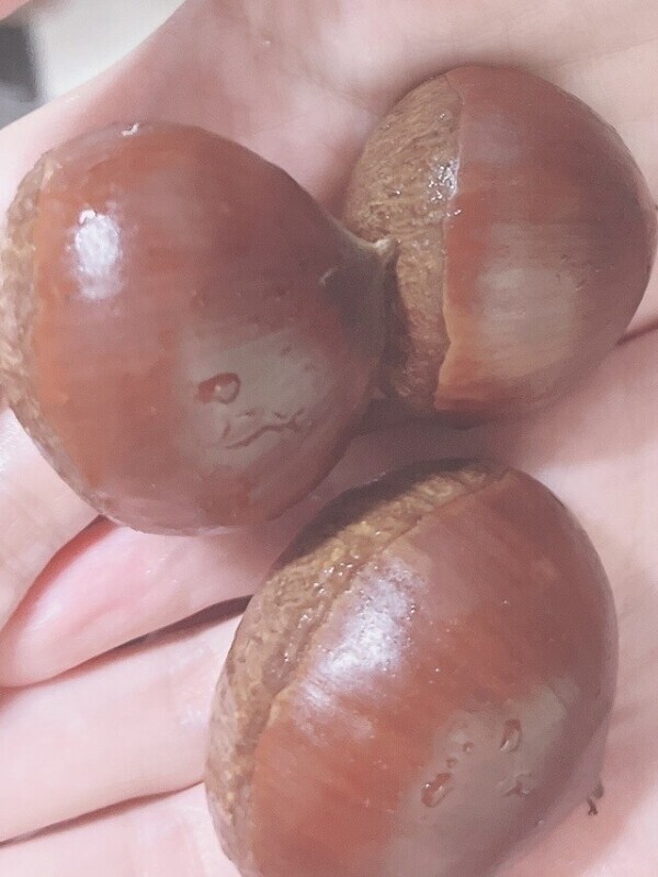 敏感すぎるアレ🤫