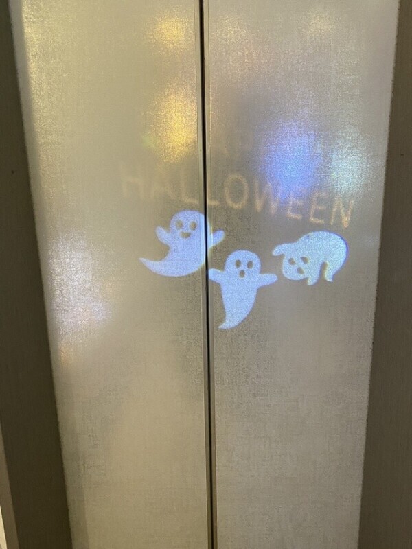 おはようございます☀️