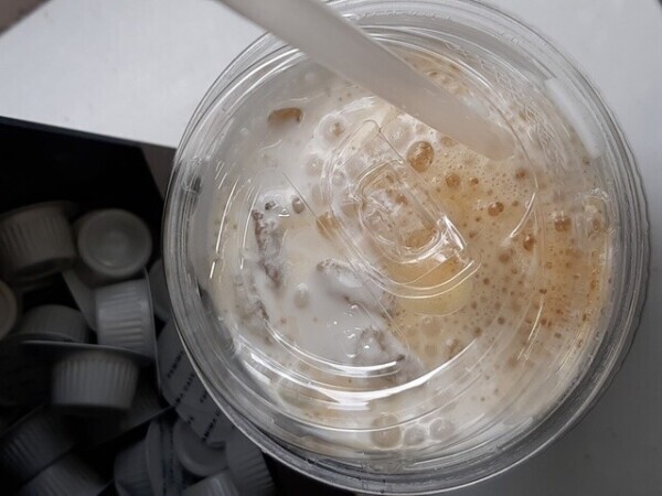 おはようございます！