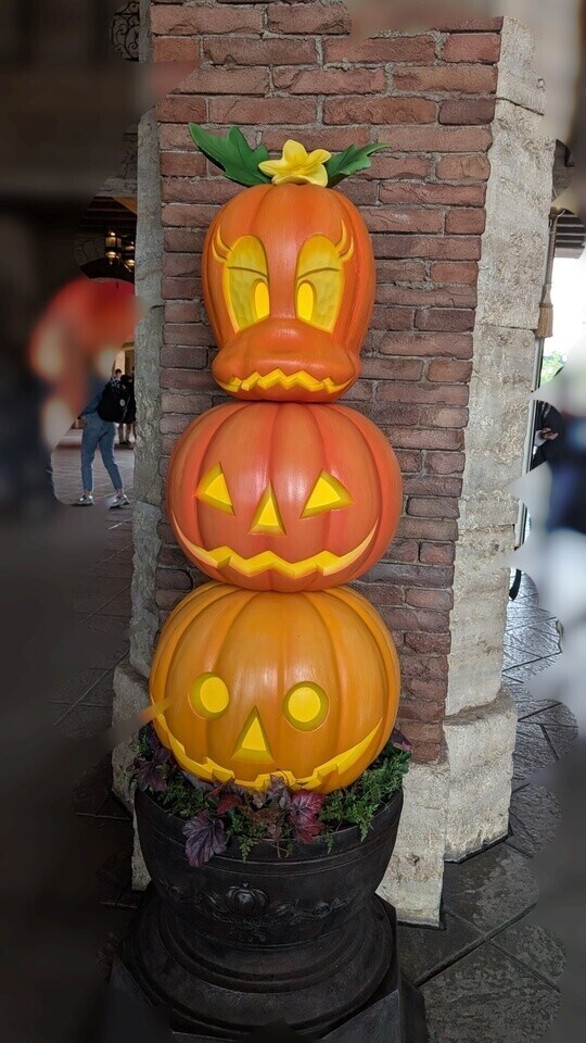 ‎🤍‎ハロウィンも近くなってきたね🤍