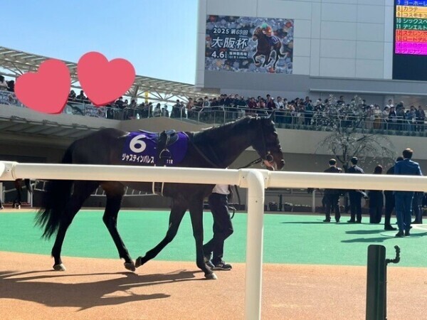推しが走る日🐎