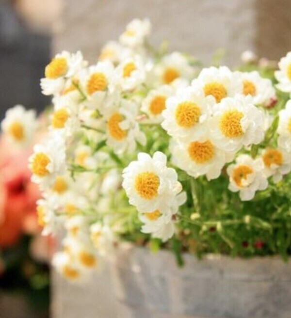 言葉責めにドキドキしました❤️