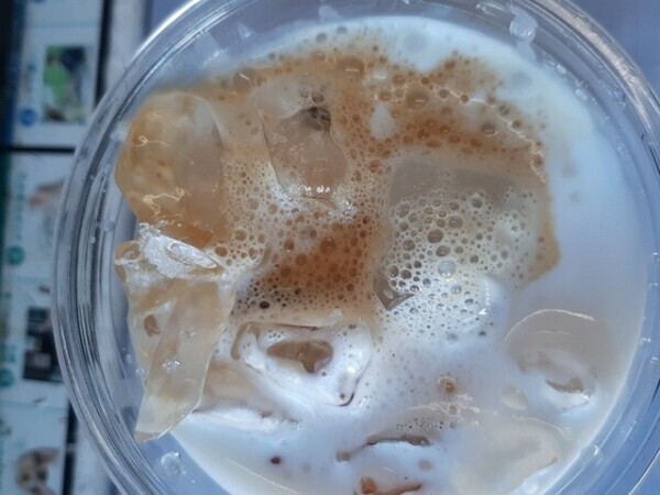 おはようございます！