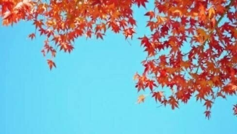 ある時期になると