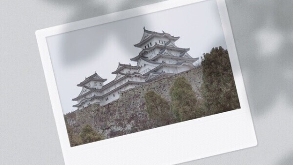 マニアじゃないけど