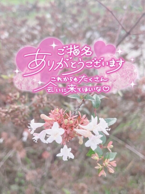 ぼうずのがれ💌♡