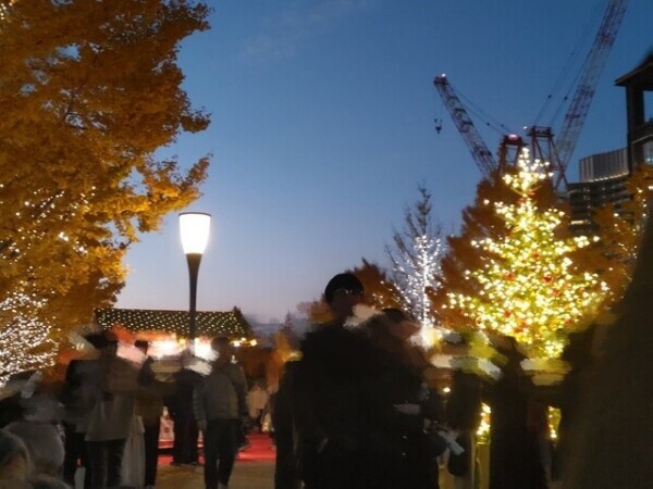 🎄イルミネーション🎄