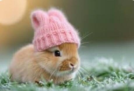 変更になりました⏰️