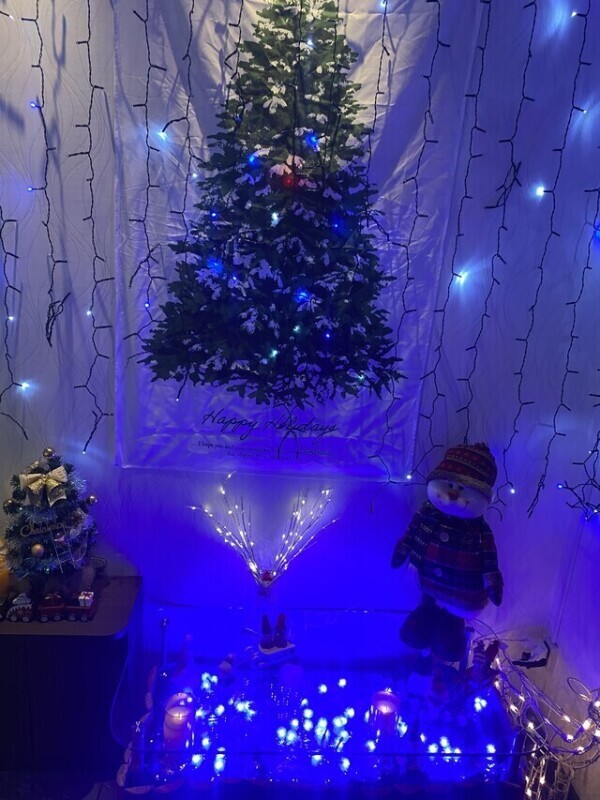 🌸もうすぐ🌸