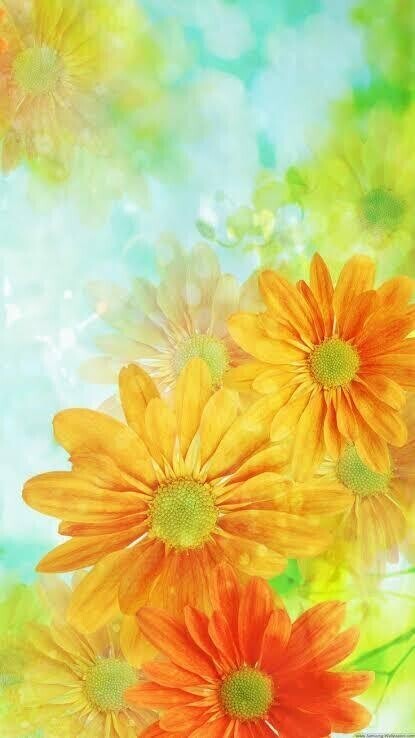 今日はたくさん…///🫣💕