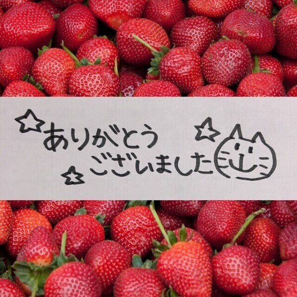 本指名 インナウ S様❤️