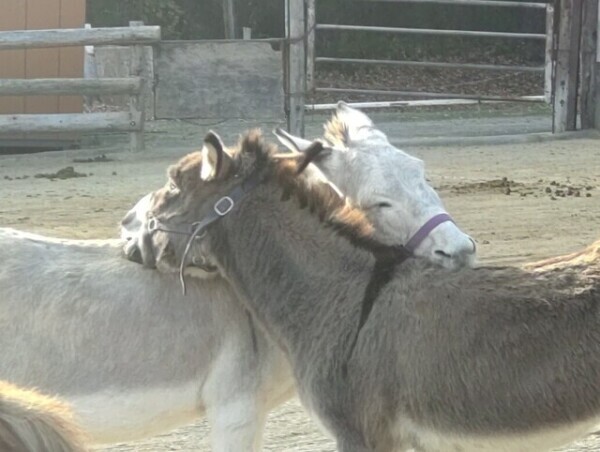 ほっこりを♡おすそ分け